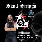 David Barbosa ( NO RETURN ) Signature Bass  5 strings set 45/120