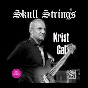 Krist Gal signature 6 strings set 