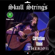 THERION Christian Vidal Signature Acoustic set 11/52