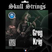 Bass 5  cordes 45/145 Greg Krig