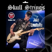 Jake Lundtofte Signature set .010 -.054 Stainless steel